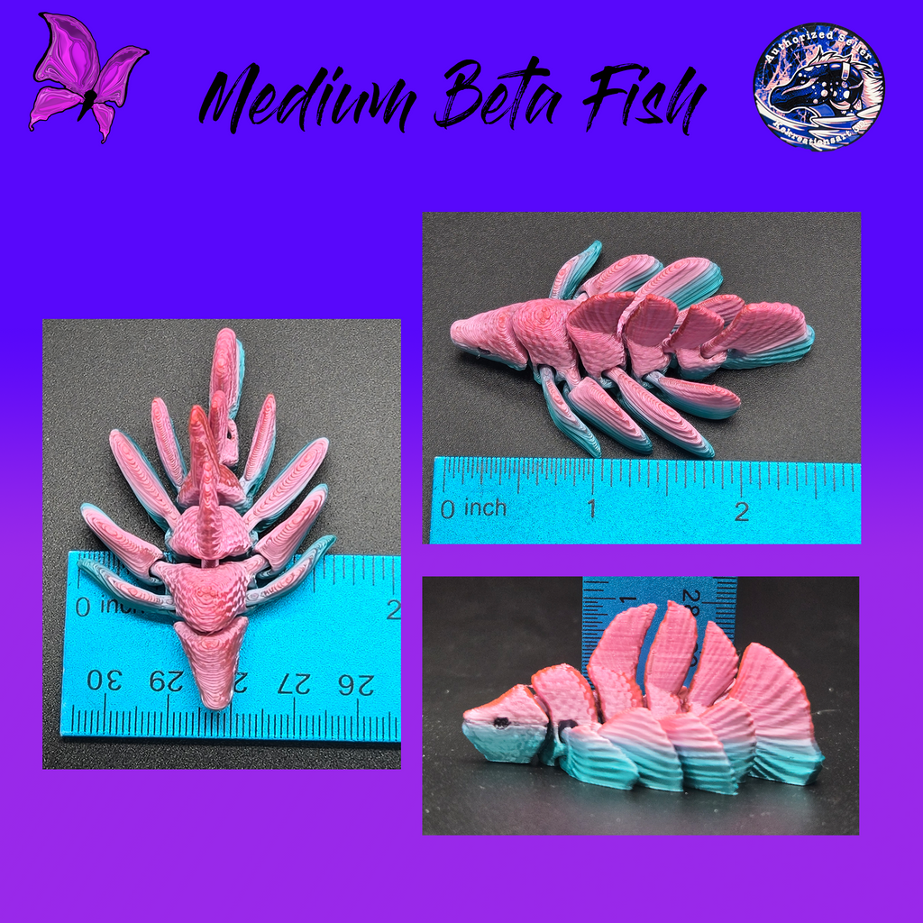 Medium Betta Fish