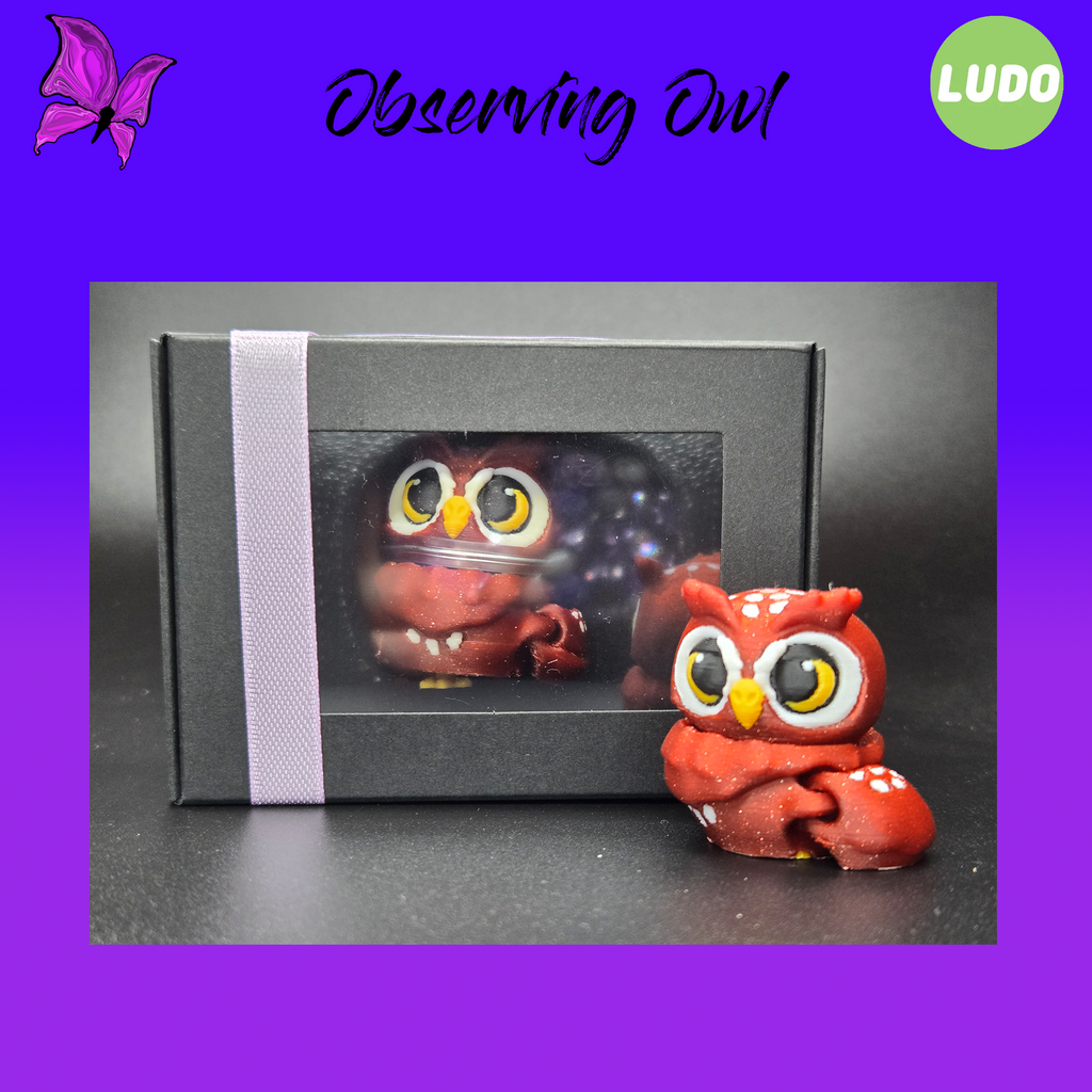 Observing Owl