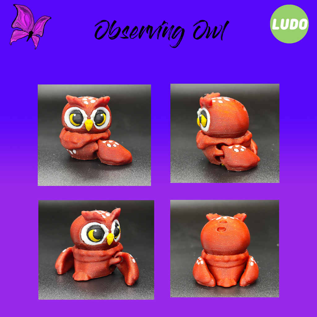 Observing Owl