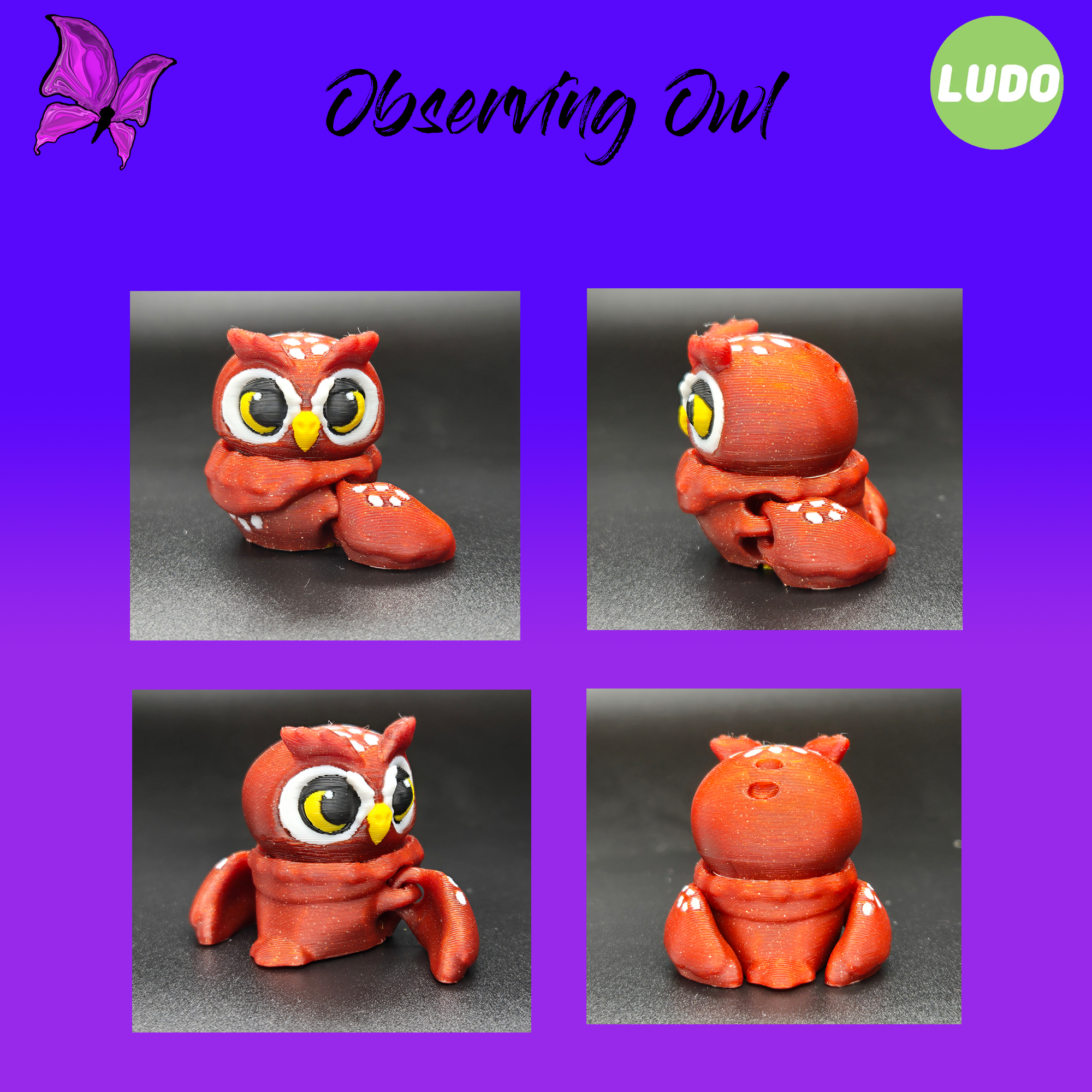 Observing Owl