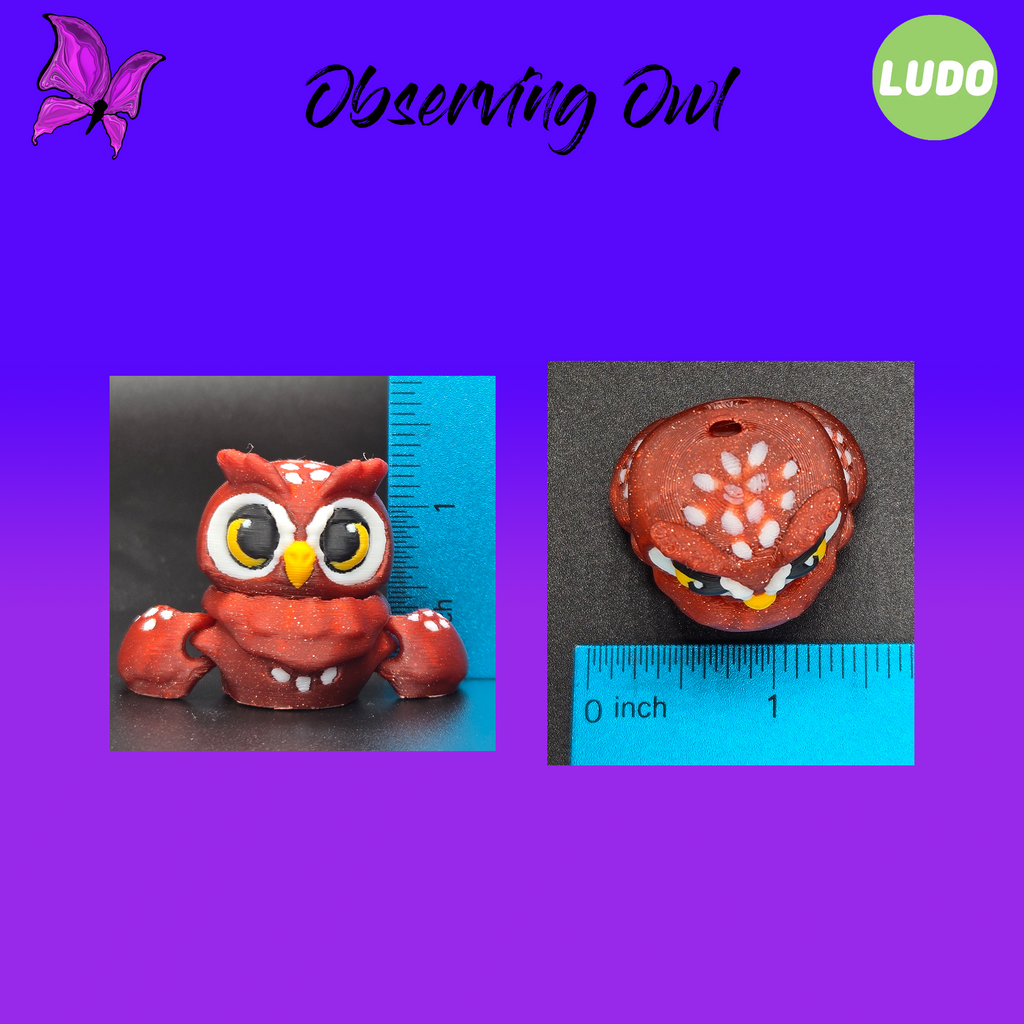 Observing Owl