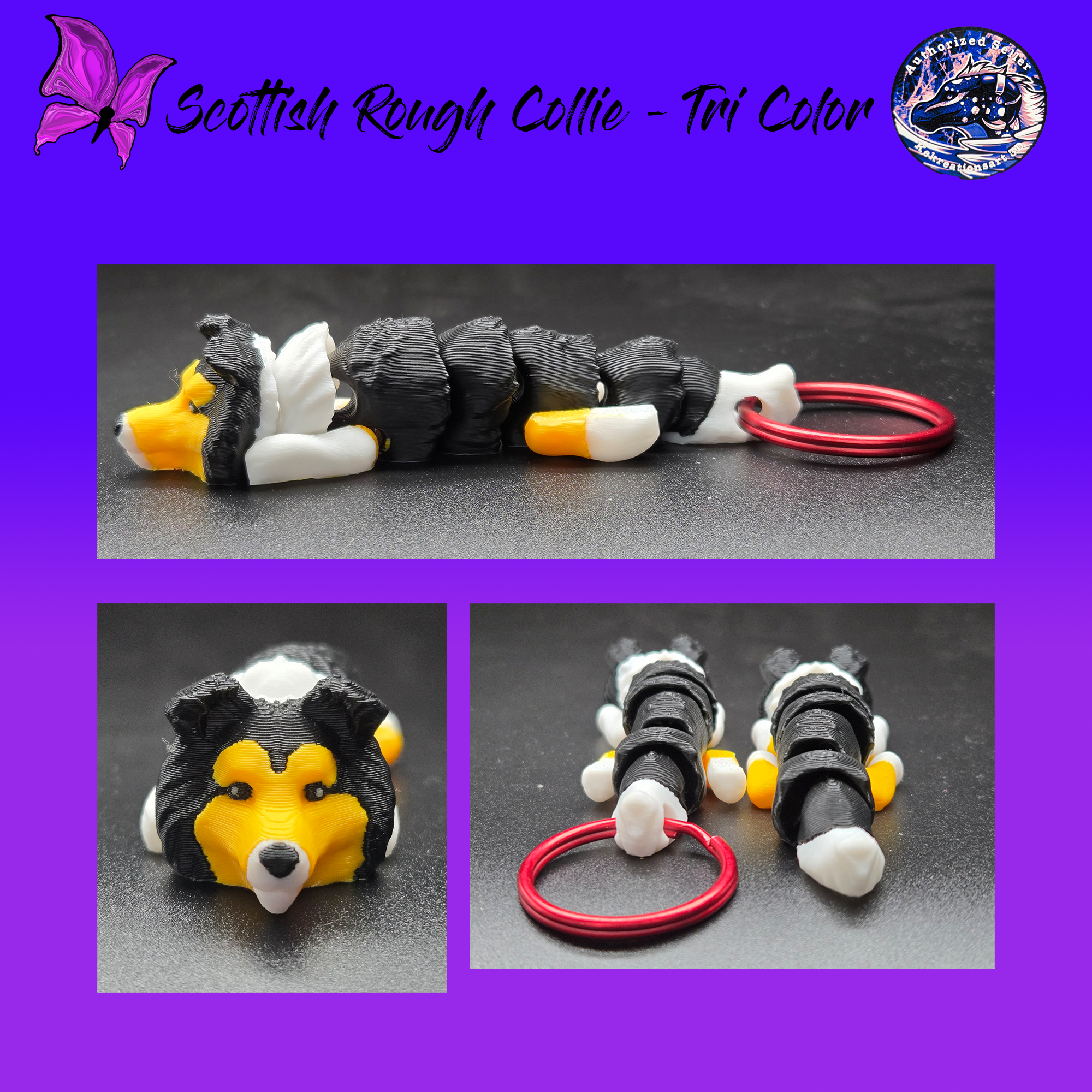 Rough Tri Coated Scottish Collie