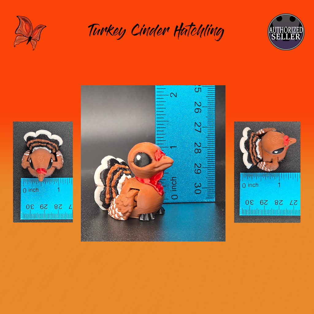 Turkey Hatchling