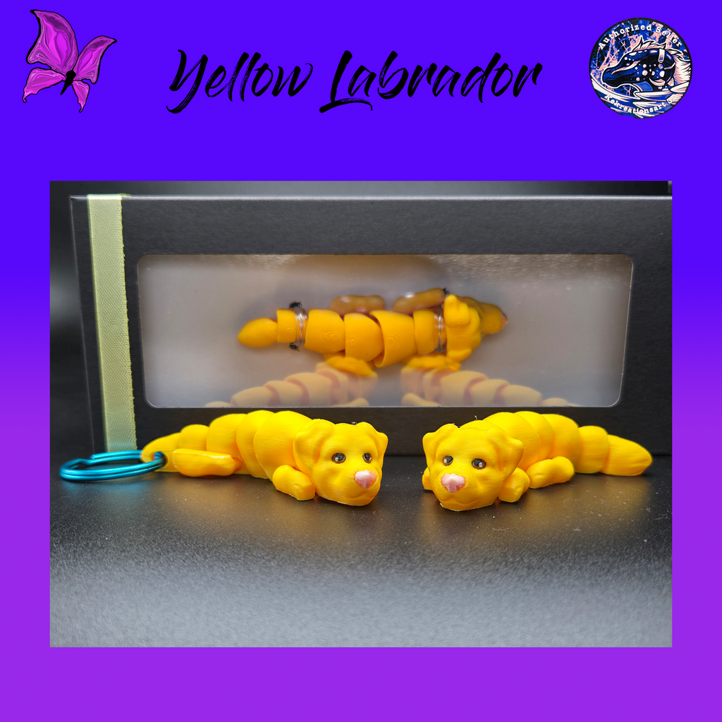 Yellow Labrador