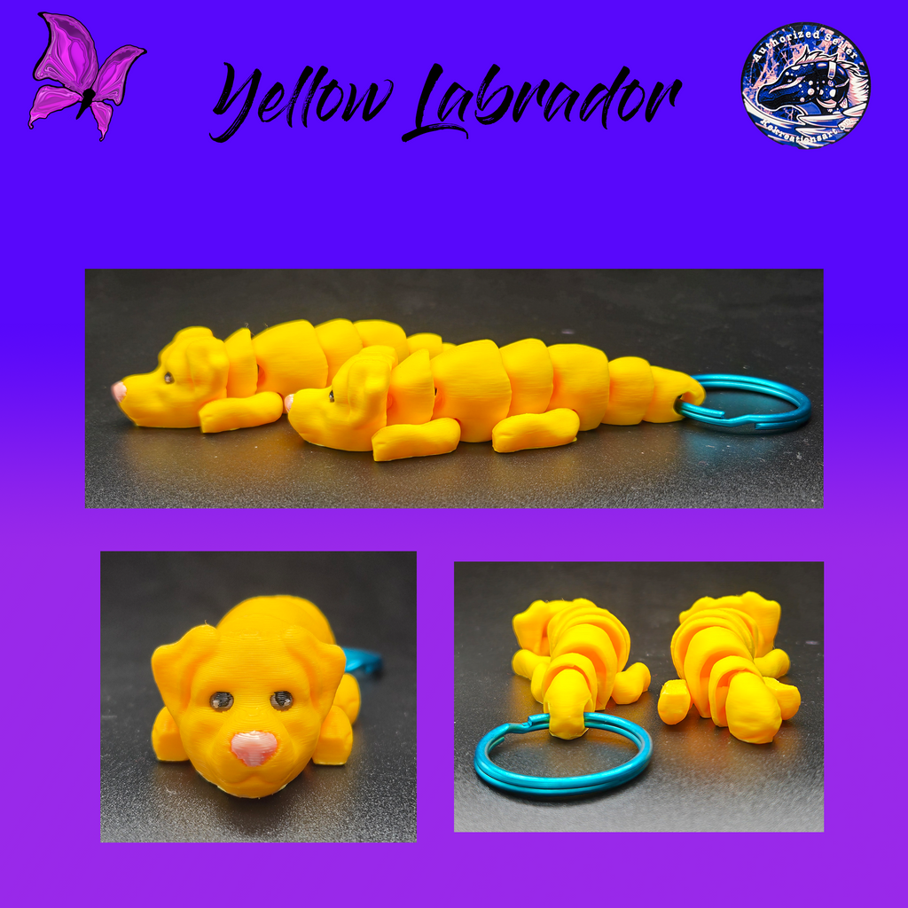 Yellow Labrador