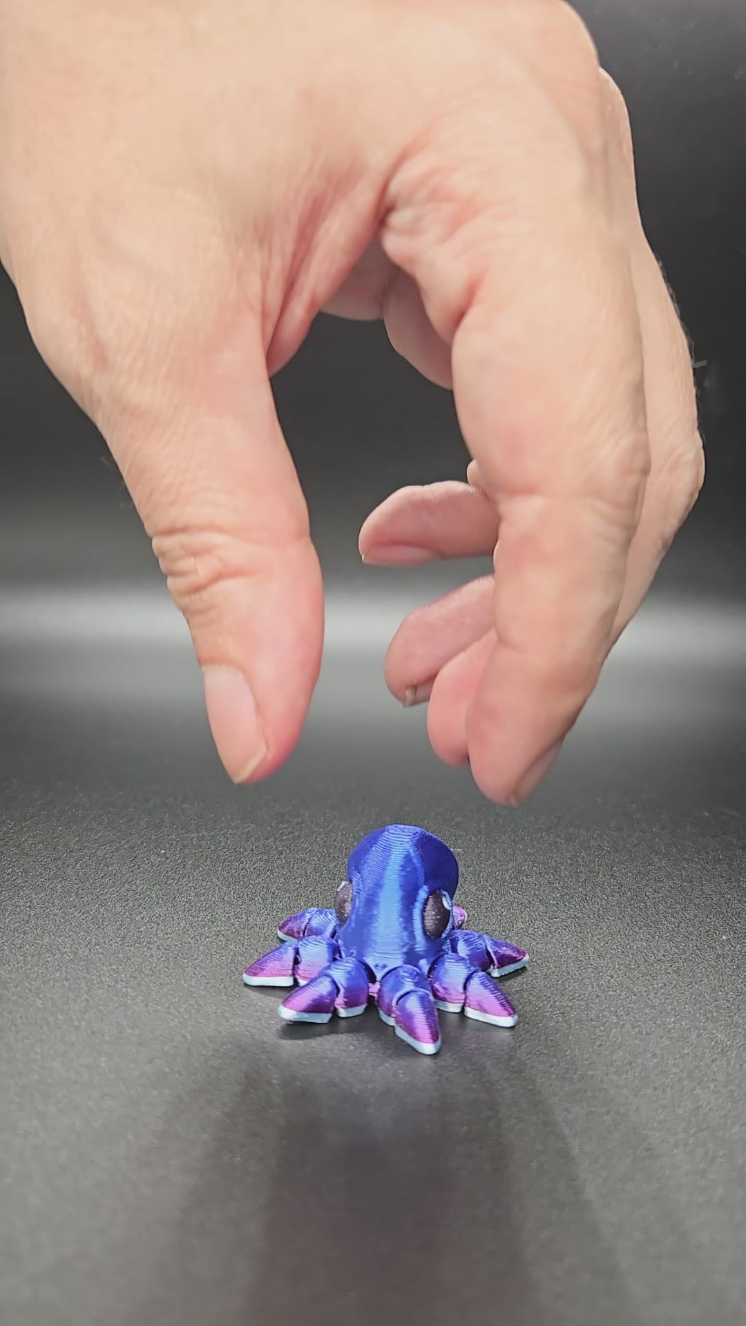 Octopus Hatchling