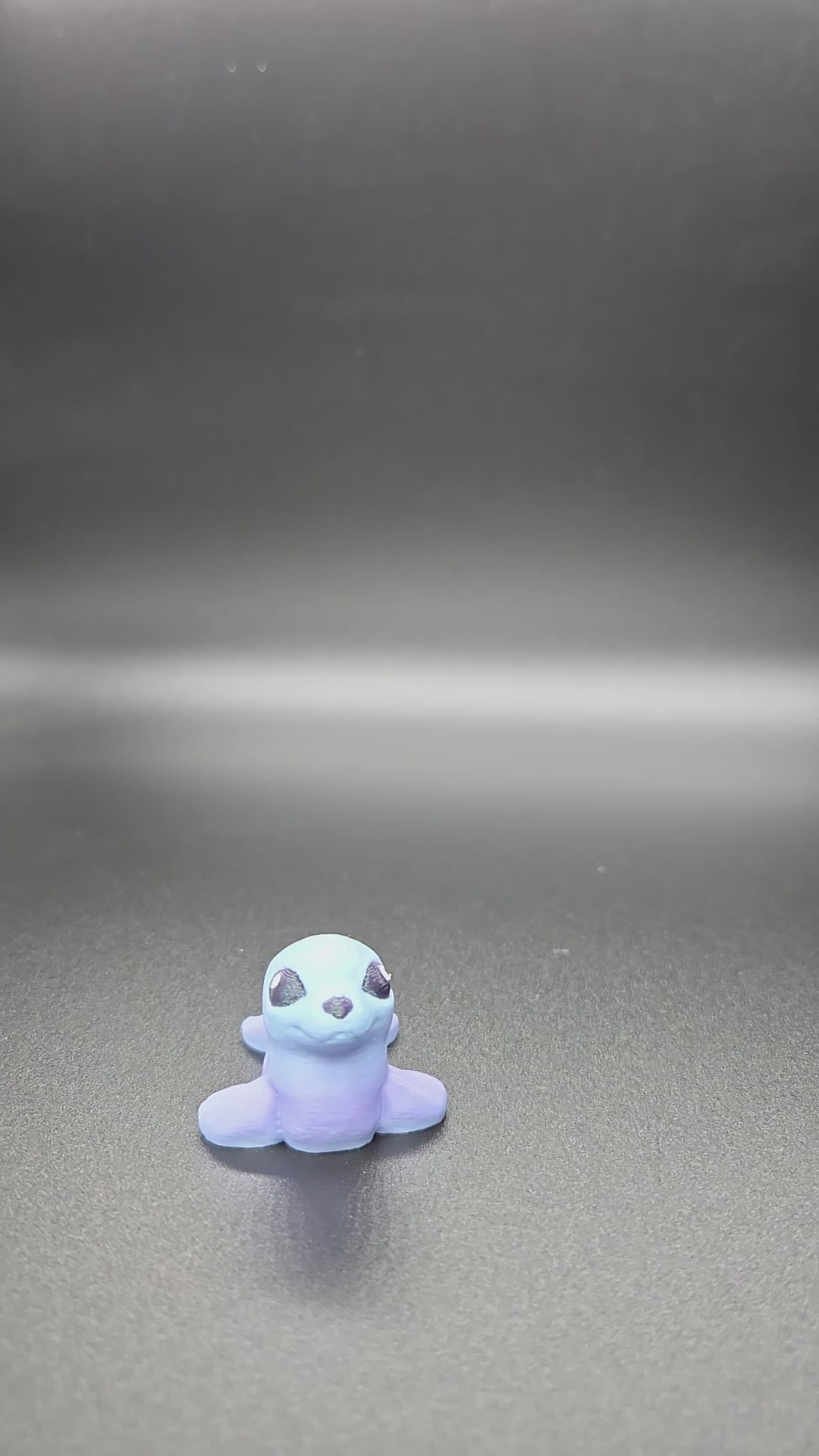 Seal Hatchling