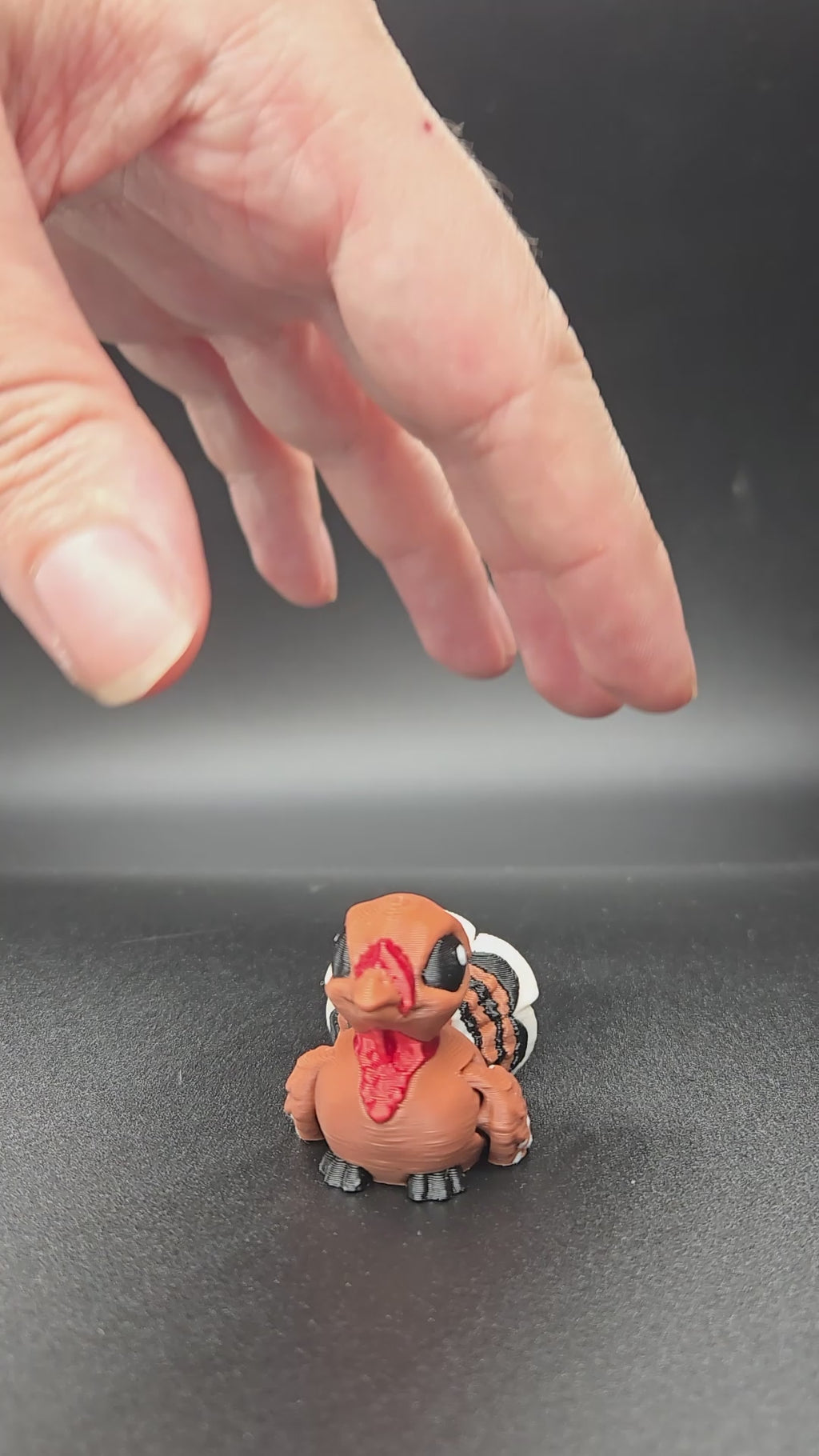 Turkey Hatchling