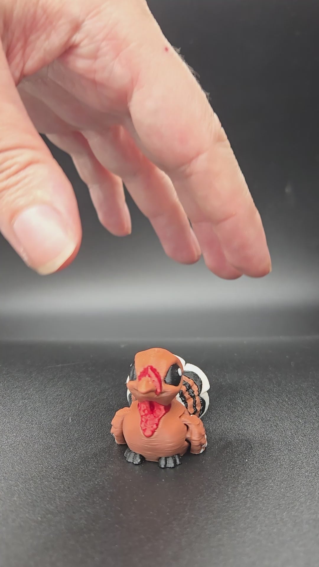Turkey Hatchling