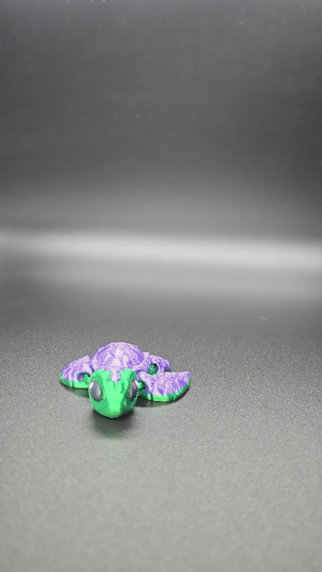 Sea Turtle Hatchling