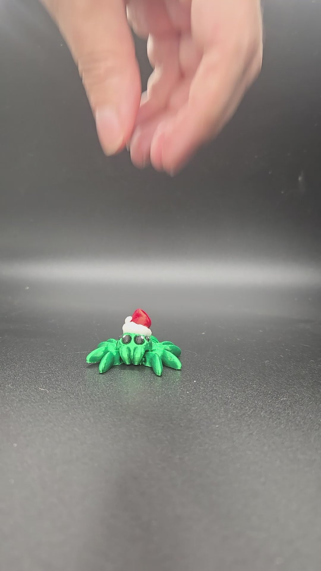 Santa Spider Hatchling
