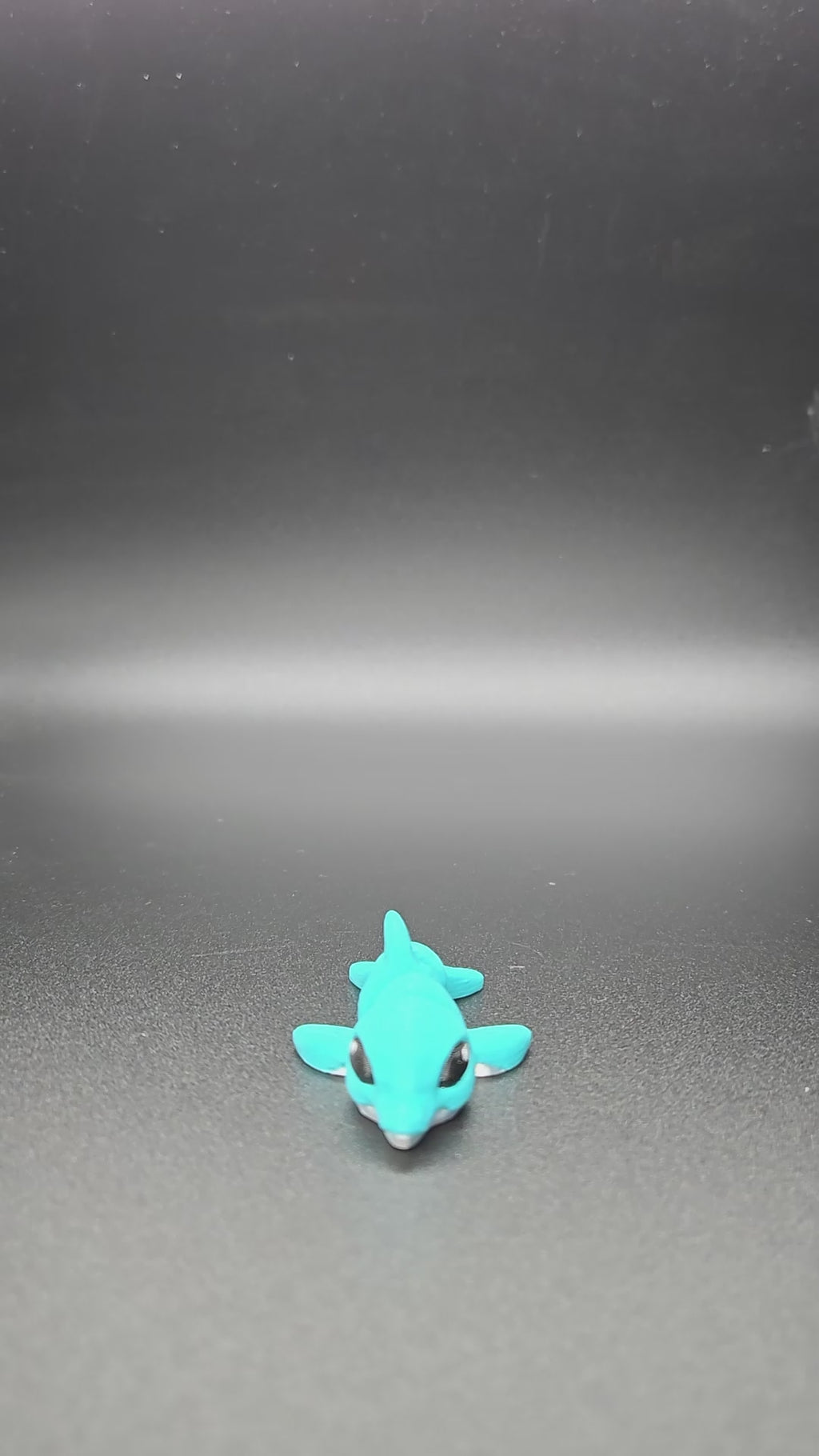 Dolphin Hatchling
