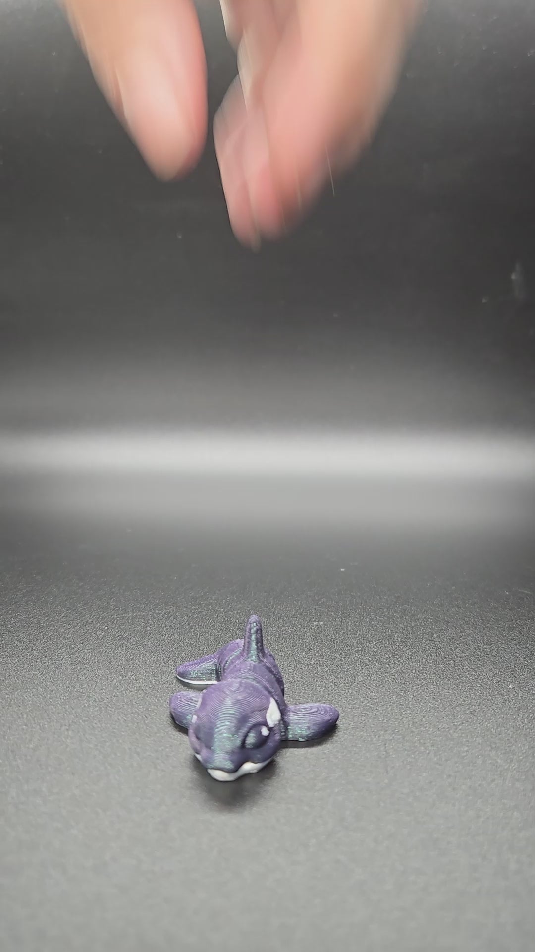 Orca Hatchling