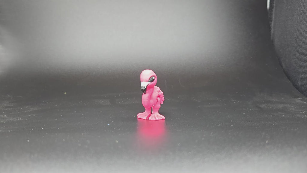 Flamingo Hatchling