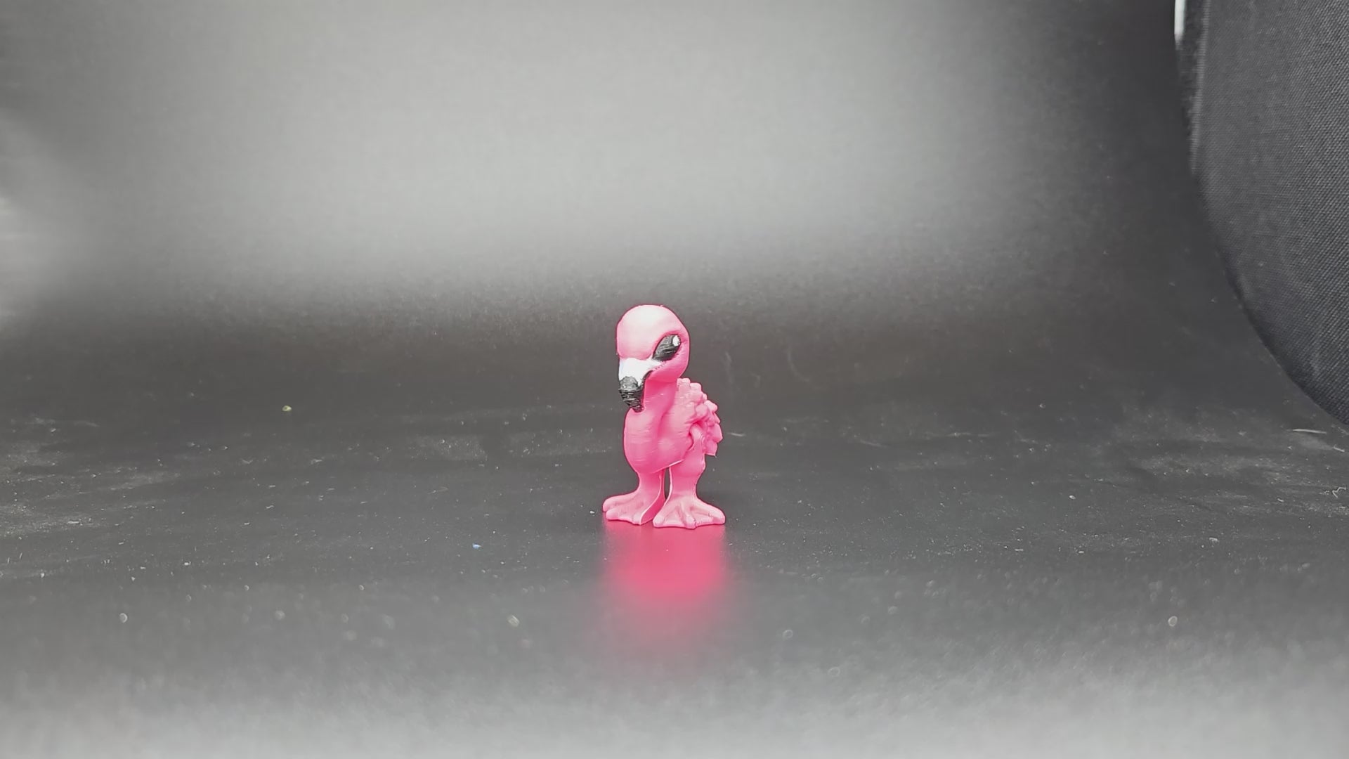 Flamingo Hatchling